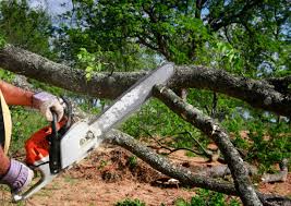 Best Soil Testing and Treatment  in Bayshore, NC