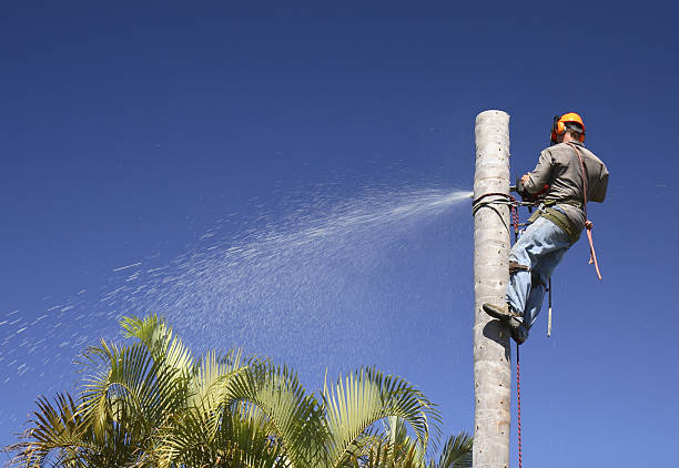 Lawn Irrigation Installation and Maintenance in Bayshore, NC